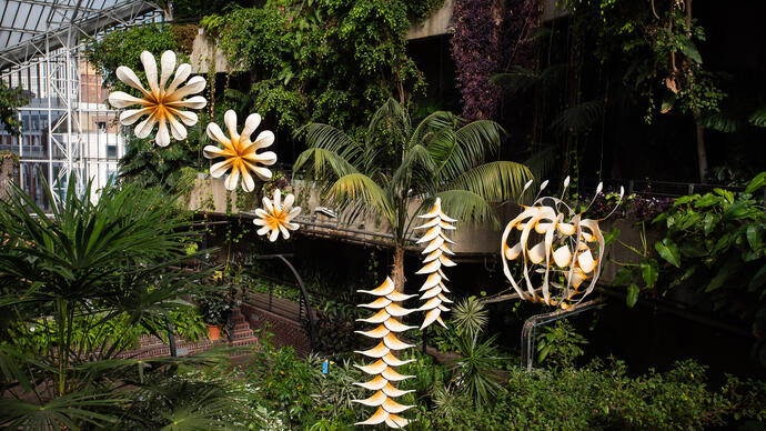 sculptures hang in the Conservatory
