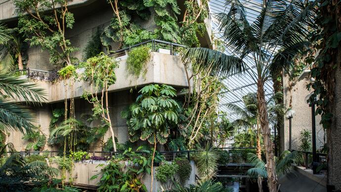 Barbican Conservatory