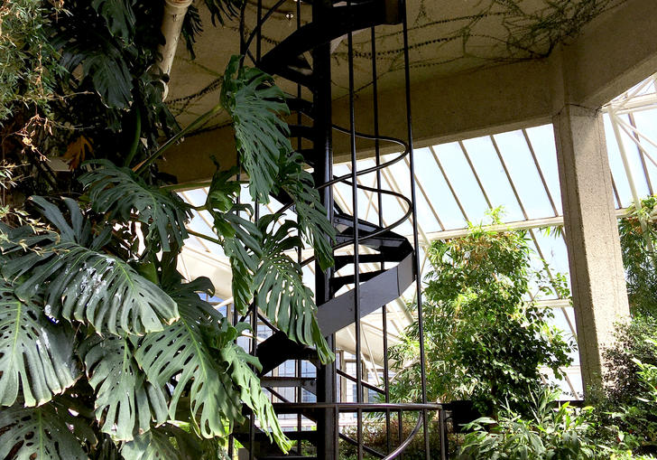 Conservatory staircase