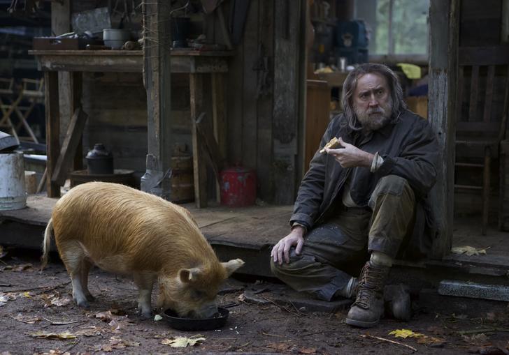 Nicholas Cage sits on the side of a dirty path with a pig next to him