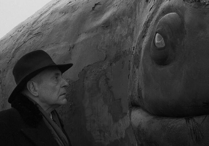 A man looks deep into the eyes of a large whale.