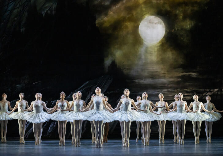 Ballet dancers in Swan Lake stand in a line under a misty moon.