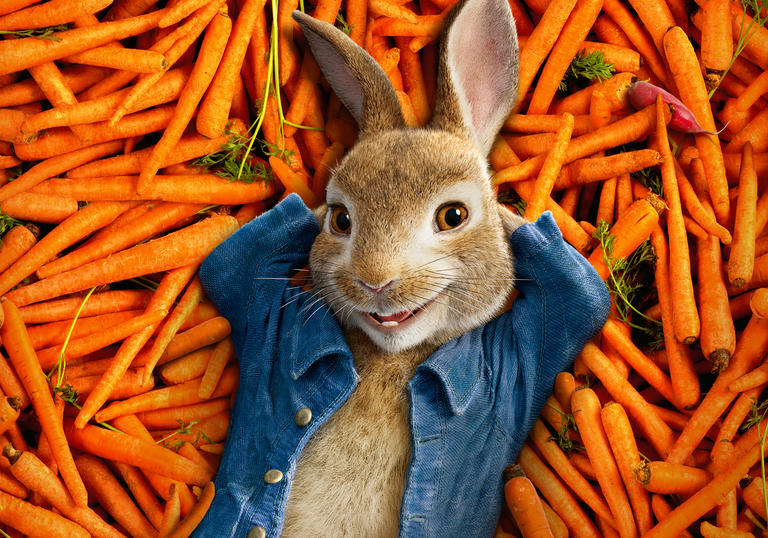 A still from Peter Rabbit