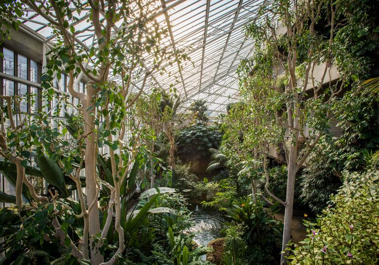 Barbican Conservatory