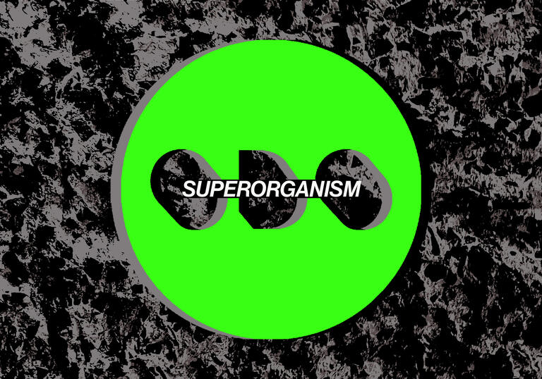 Superorganism logo, green circle on grey backdrop
