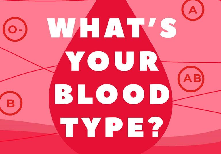 What's Your Blood Type? | Barbican