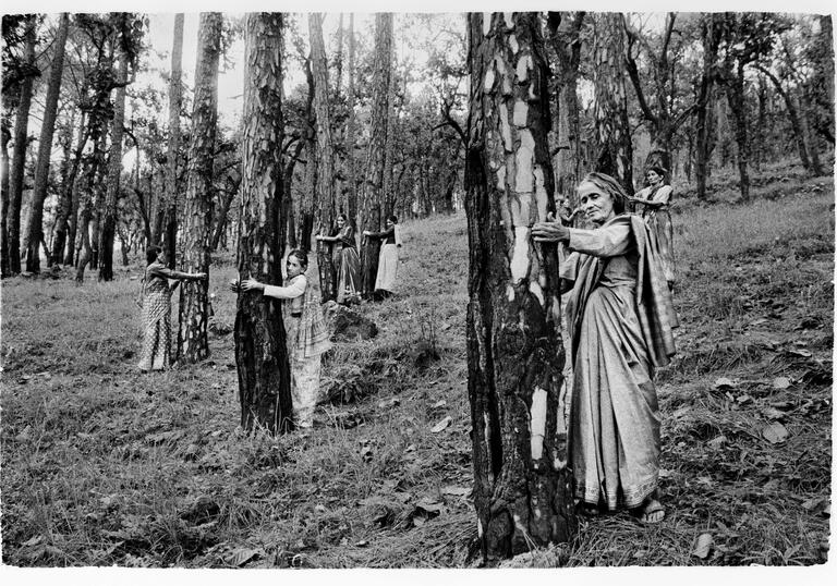 Pamela Singh, Chipko Tree Huggers of the Himalayas