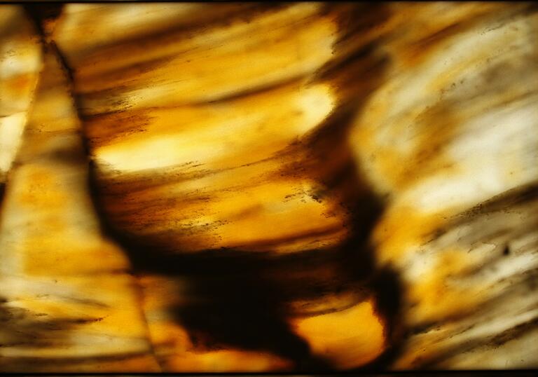 An abstract image in which light leaks through brushes, orange and brown like light through a window. 