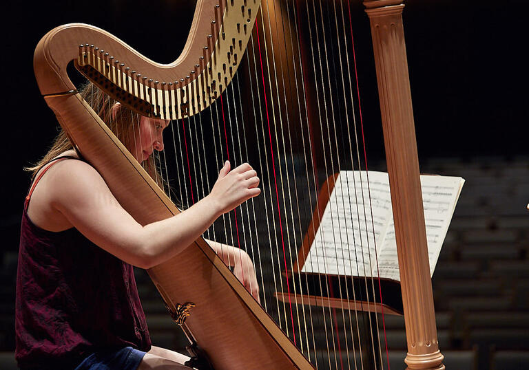 Side view of harpist