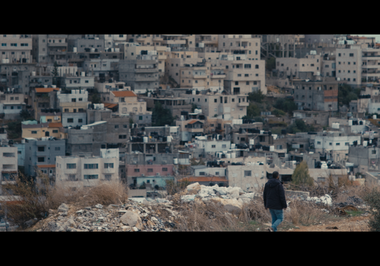 A person overlooks a city