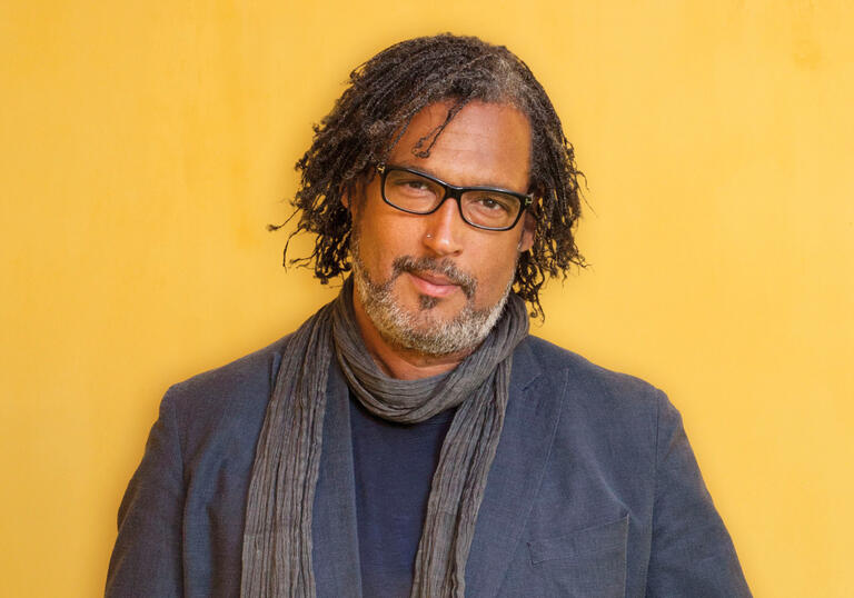 David Olusoga: A Gun Through Time