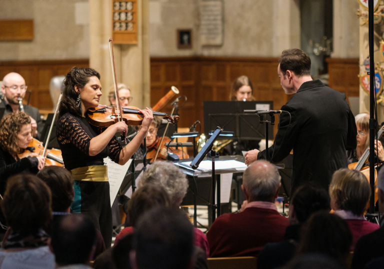 A female violinist plays with an orchestra in a music hall