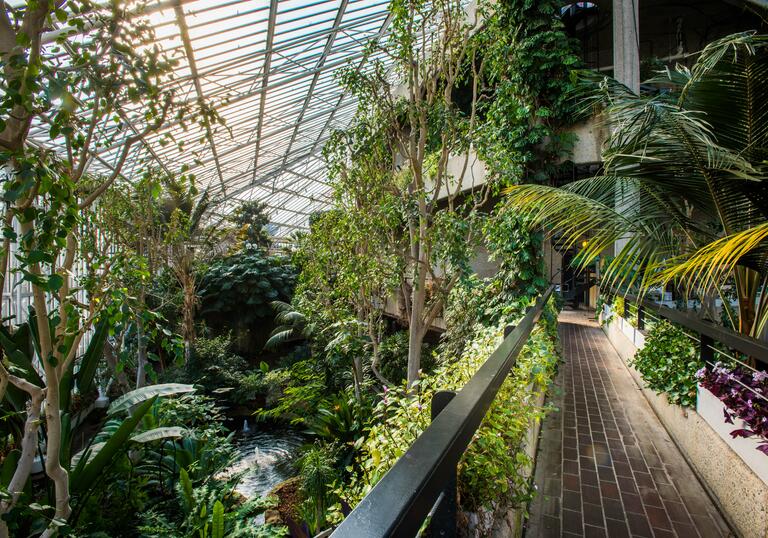 Barbican Conservatory