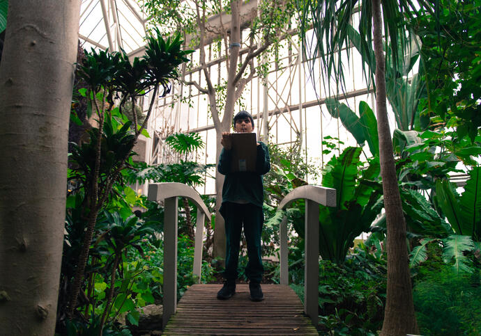 Boy standing with a clipboard looking up in the conservatory, surrounded by plants.