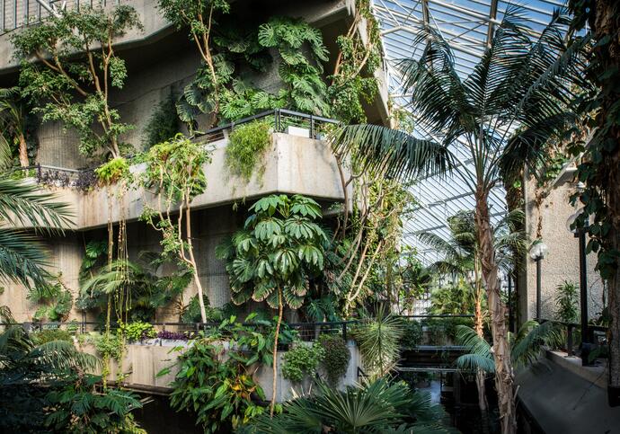 A close up of the Barbican Conservatory tower with lots of lush green plants among concrete levels