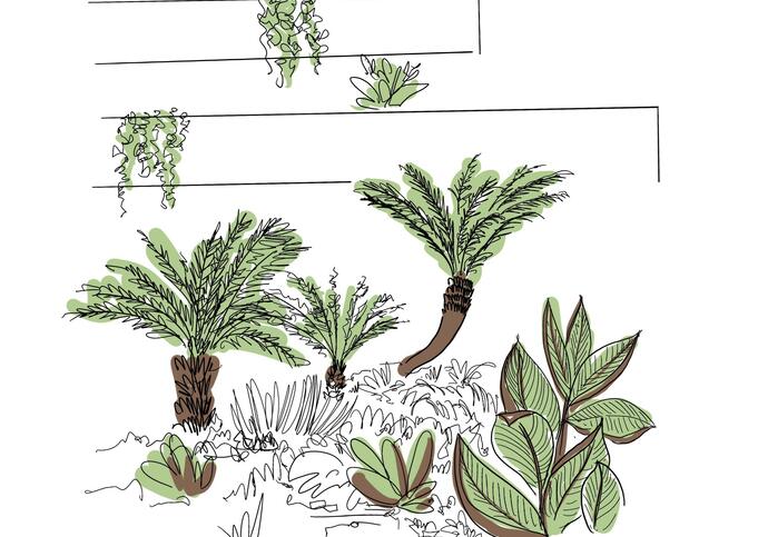 A colour sketch in green and brown showing plants at the ground and then in ascending shelves