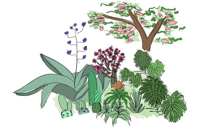 A colour, green, pink, orange and blue sketch of theatrical plants and flowers