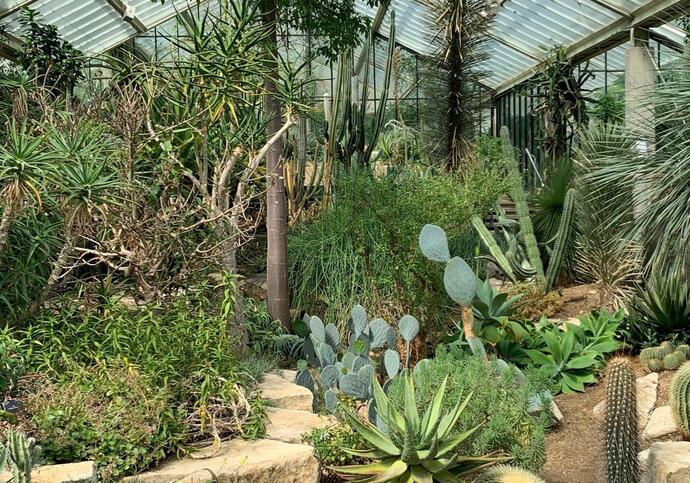 A collection of plants and trees in the arid zone, lots of different varieties