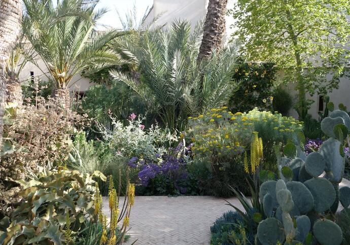 A temperate dry zone, with a mix of cacti and lush plants and trees