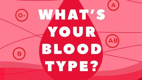 What's Your Blood Type? | Barbican