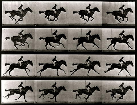 Window Water Baby Moving [16mm] + Eadweard Muybridge, Zoopraxographe (12*)  + Conversation with Charlie Shackleton