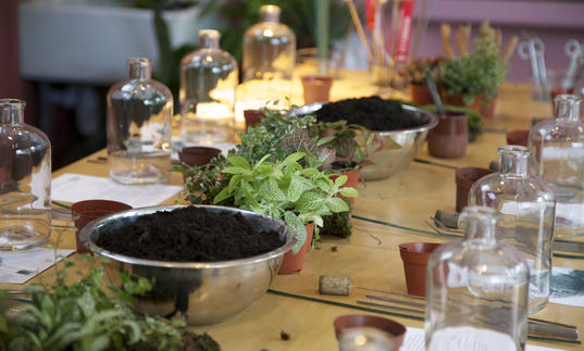 Terrarium workshop workstation