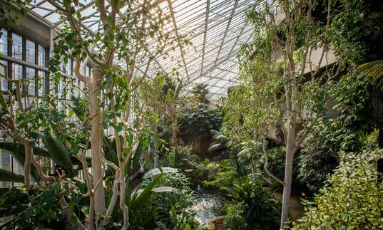 Barbican Conservatory