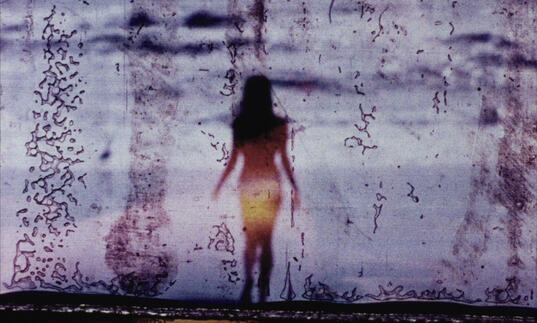 Still image from Fuses by Carolee Schneemann