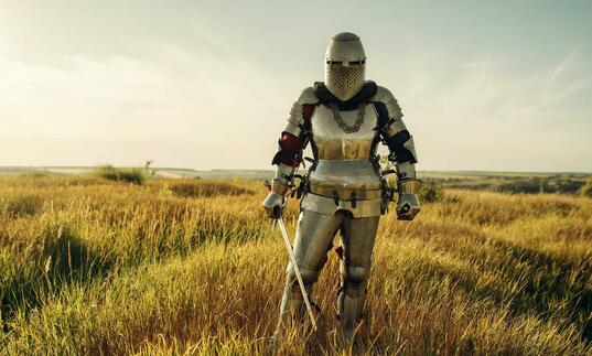 An armoured knight standing in a grassy field holding a sword