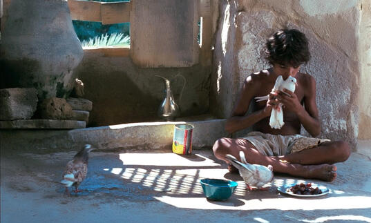 A still from Waiting, showing a teenage boy sitting cross-legged, holding a dove. On the floor around him is a plate of food and a silver jug.