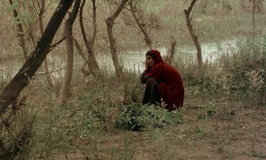 A woman wearing red, crouching amongst the trees by a river.