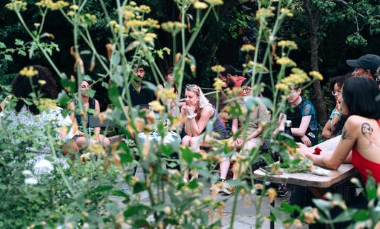 A group of people gather outside at tables. We see them through a patch of yellow flowers.