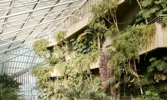 An image of the conservatory